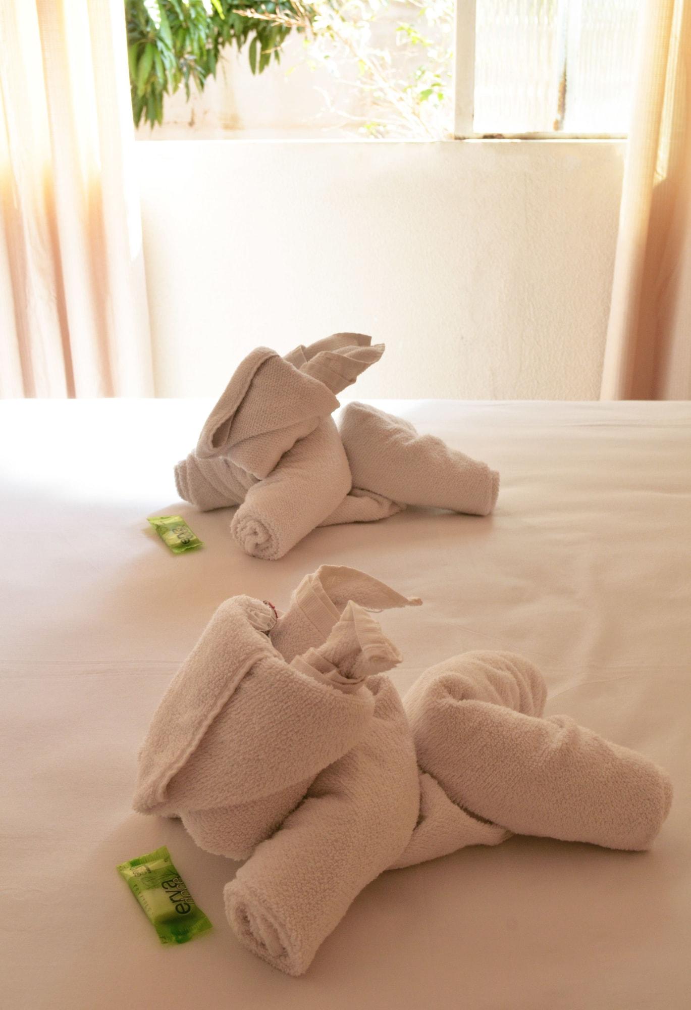 Iguacu Plaza Hotel Foz do Iguaçu Zewnętrze zdjęcie